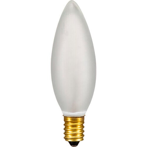 Boxlite için 40W/120V Pilot Lamba (34.211.XX)