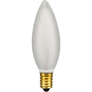 Boxlite için 40W/120V Pilot Lamba (34.211.XX)