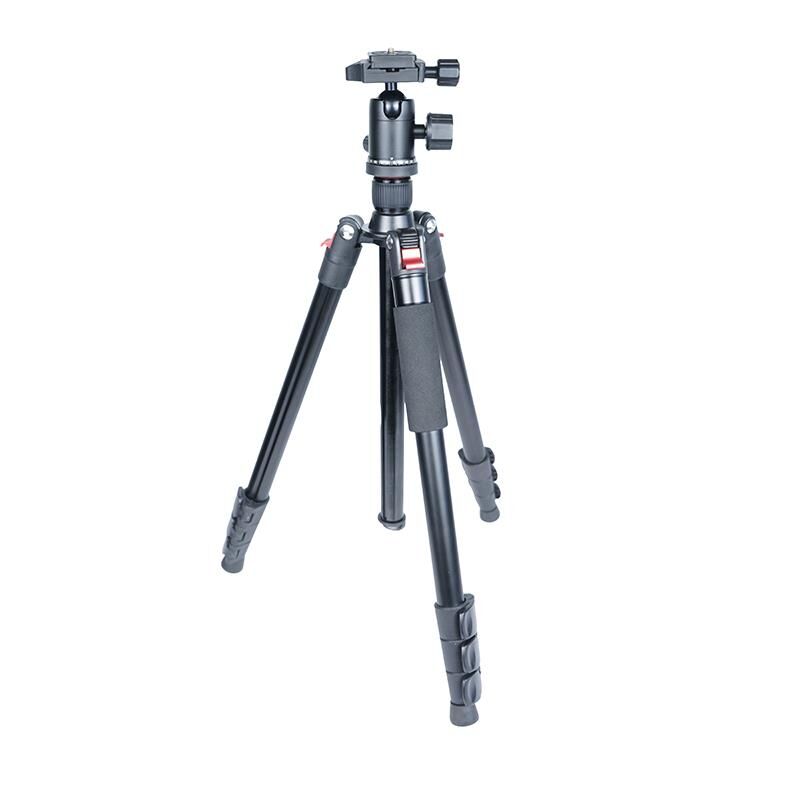 A2841P Pro + BH-36P Tripod Kiti