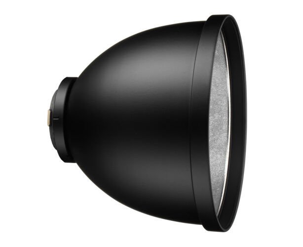 P65 29cm Standart Reflektör (33.106.00)