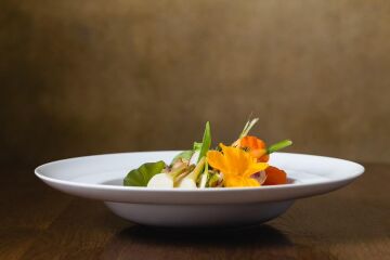 150x210cm Tütün/Zeytin Renkli Taşınabilir Fon (5705)