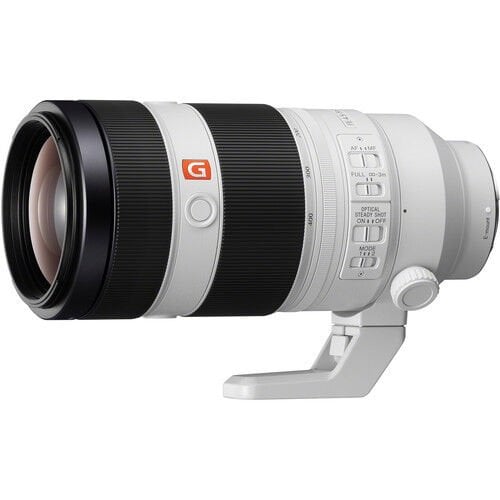 FE 100-400mm F/4.5-5.6 GM OSS Lens (Sony E-Mount)