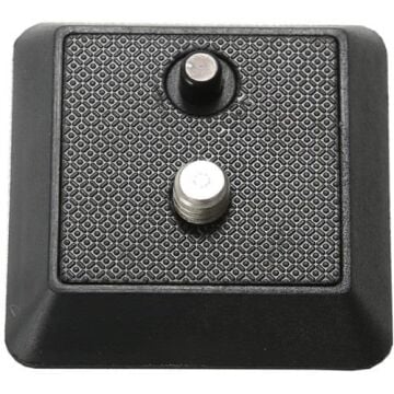 QS-29 Plate