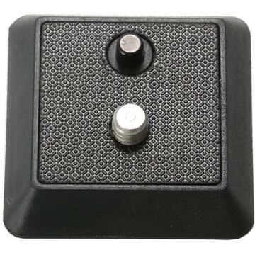 QS-29 Plate