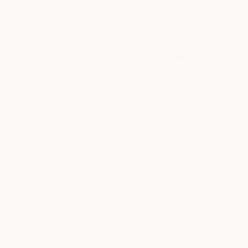 135x11 Super White Karton Fon