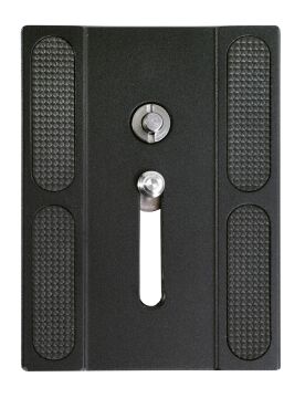QS-61P Plate