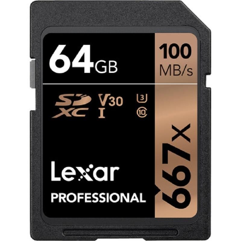 Professional 64GB 667x SDXC UHS-I SD Hafıza Kartı