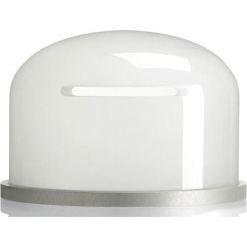 B1,B1X,D1,D2 Monolight için Glass Dome (101561)