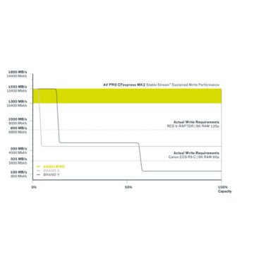 1TB AV Pro MK2 CF Express Type B 2.0 Hafıza Kartı