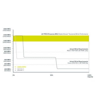 1TB AV Pro MK2 CF Express Type B 2.0 Hafıza Kartı