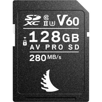 128GB AV Pro SD V60 Hafıza Kartı