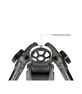 DTW-75AW Video Tripod Kiti
